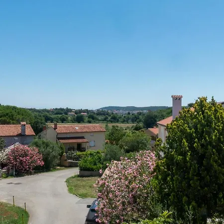 Mimoza באניולה