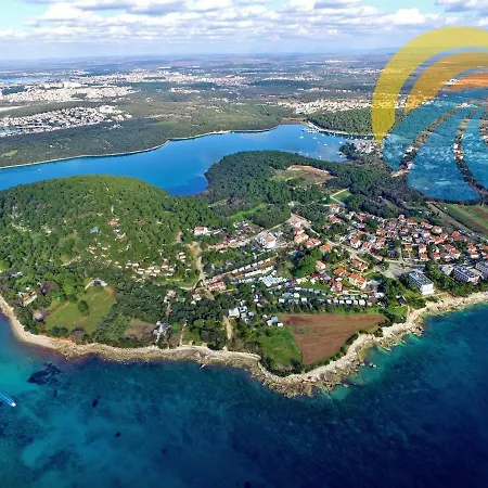 Guest house Mimoza 3*